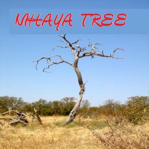 Nihaya Tree