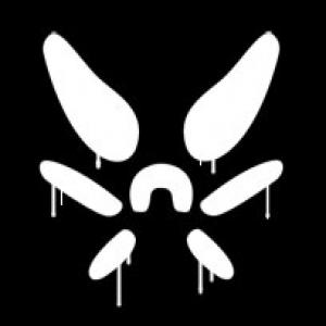 wasp
