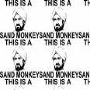 SandMonkey